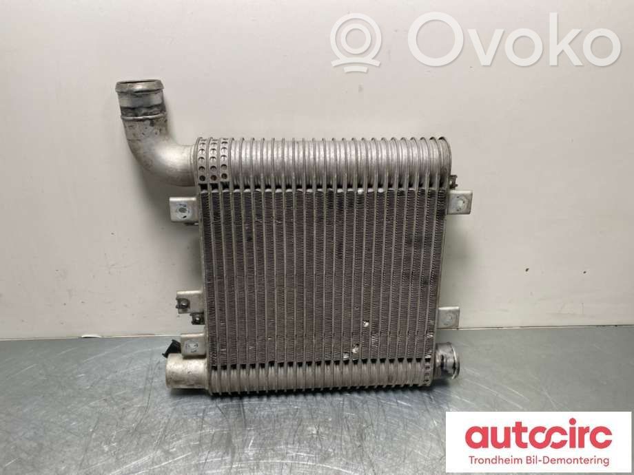 Hyundai Santa Fe Radiatore intercooler 