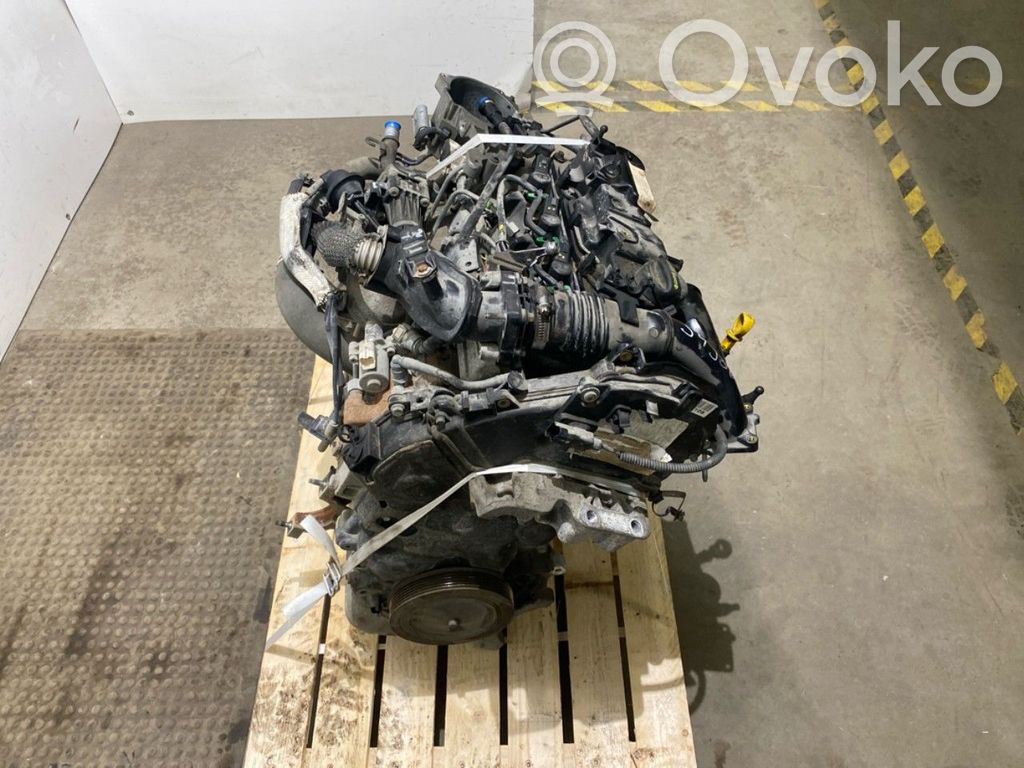 Ford Focus Variklis 