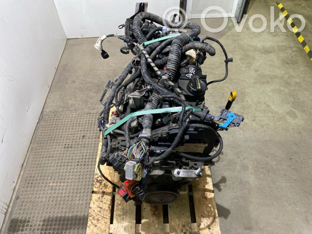 Variklis   1685766,1685766,1812824,AV6Q6006AA