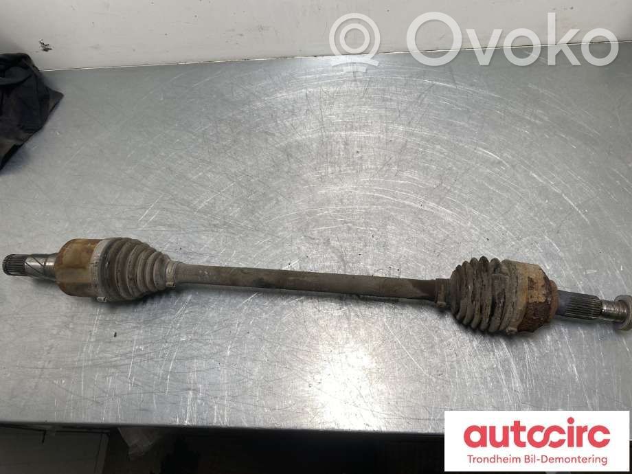 Tesla Model 3 Galinis pusašis 