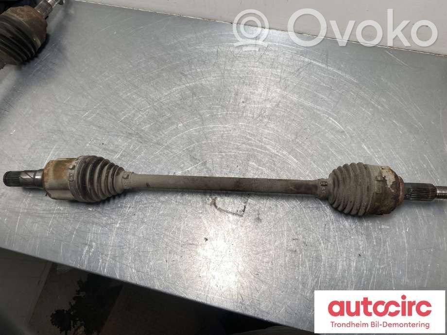 Tesla Model 3 Galinis pusašis 