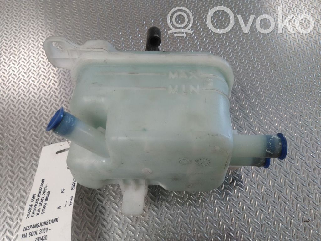 Vas expansiune combustibil   25430E4500,25430E4500