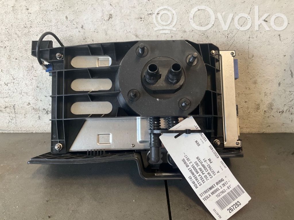 Tesla Model 3 Other control units/modules 