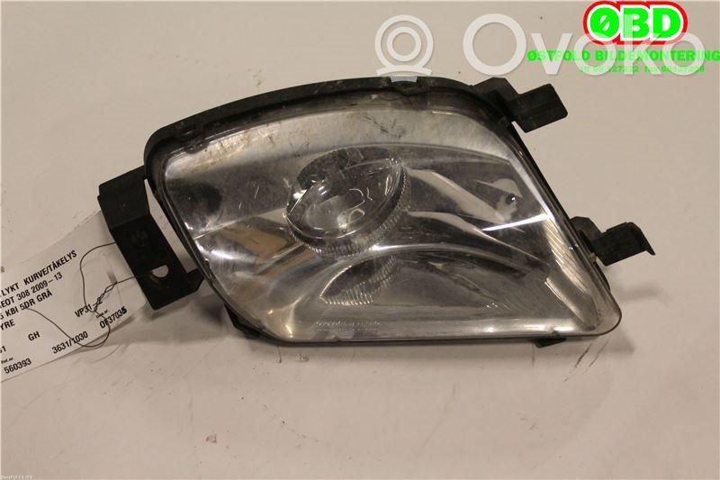 Peugeot 308 Fendinebbia anteriore 