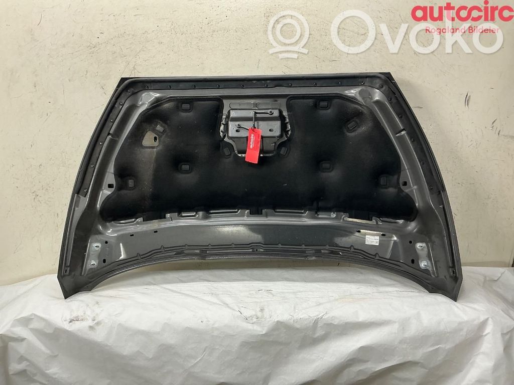 Ford S-MAX Konepelti 