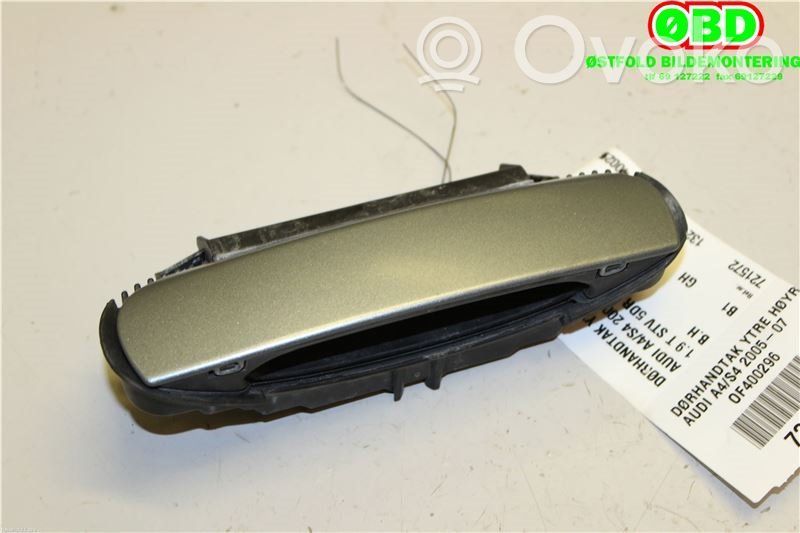 Audi A4 S4 B7 8E 8H Maniglia esterna per portiera posteriore 