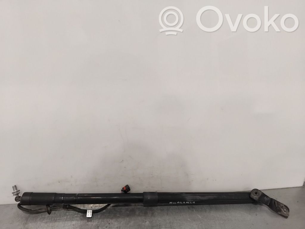 Ford C-MAX II Tailgate/trunk strut/damper 