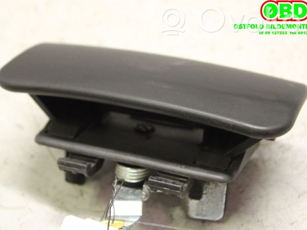 Manecilla externa puerta delantera   1493202,1493202