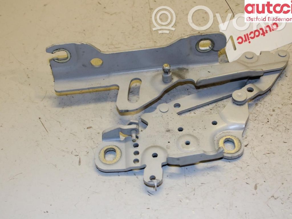 BMW 3 F30 F35 F31 Cerniere del vano motore/cofano