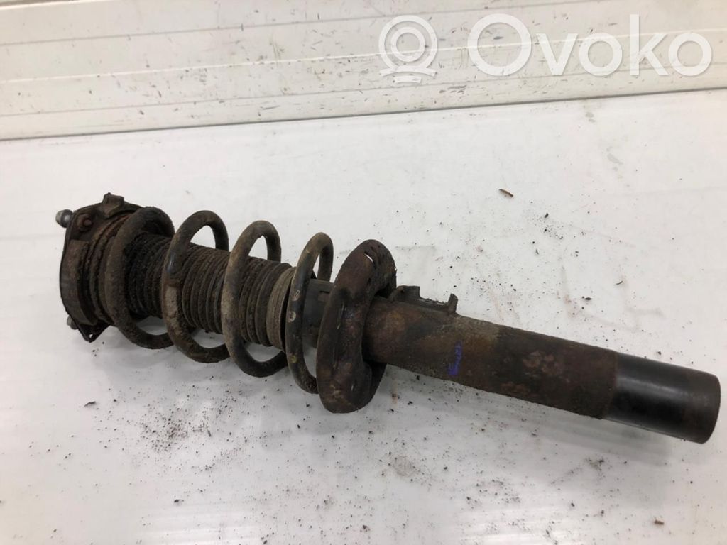 Volkswagen Golf V Amortyzator osi przedniej ze sprężyną 