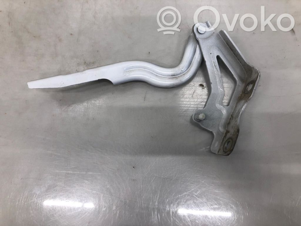XPeng P7 Engine bonnet/hood hinges 