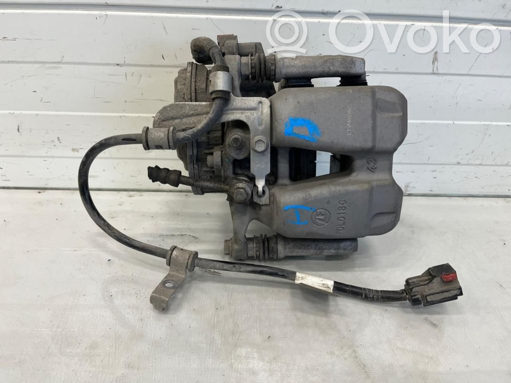 Bremssattel hinten   134462400B,134462400B