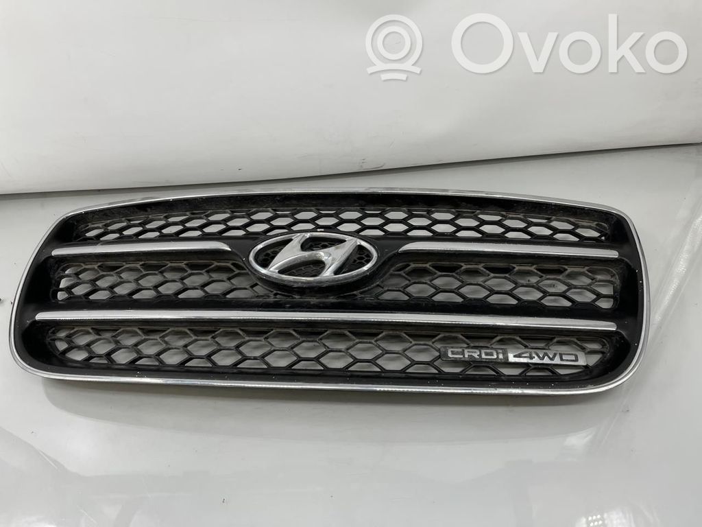 Hyundai Santa Fe Etusäleikkö 