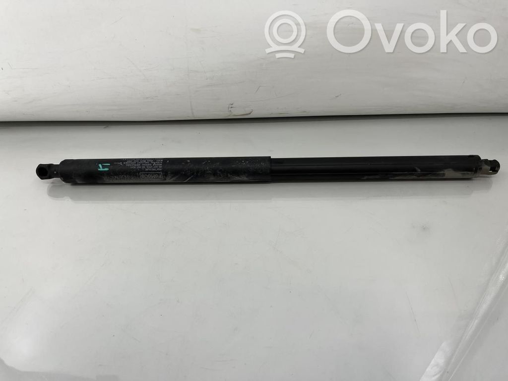 Ford Edge II Tailgate/trunk strut/damper 