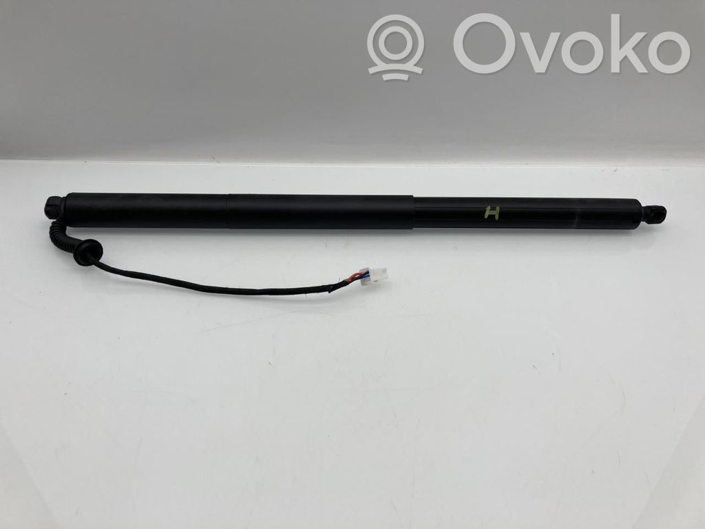 Tesla Model Y Juniper Tailgate/trunk strut/damper 