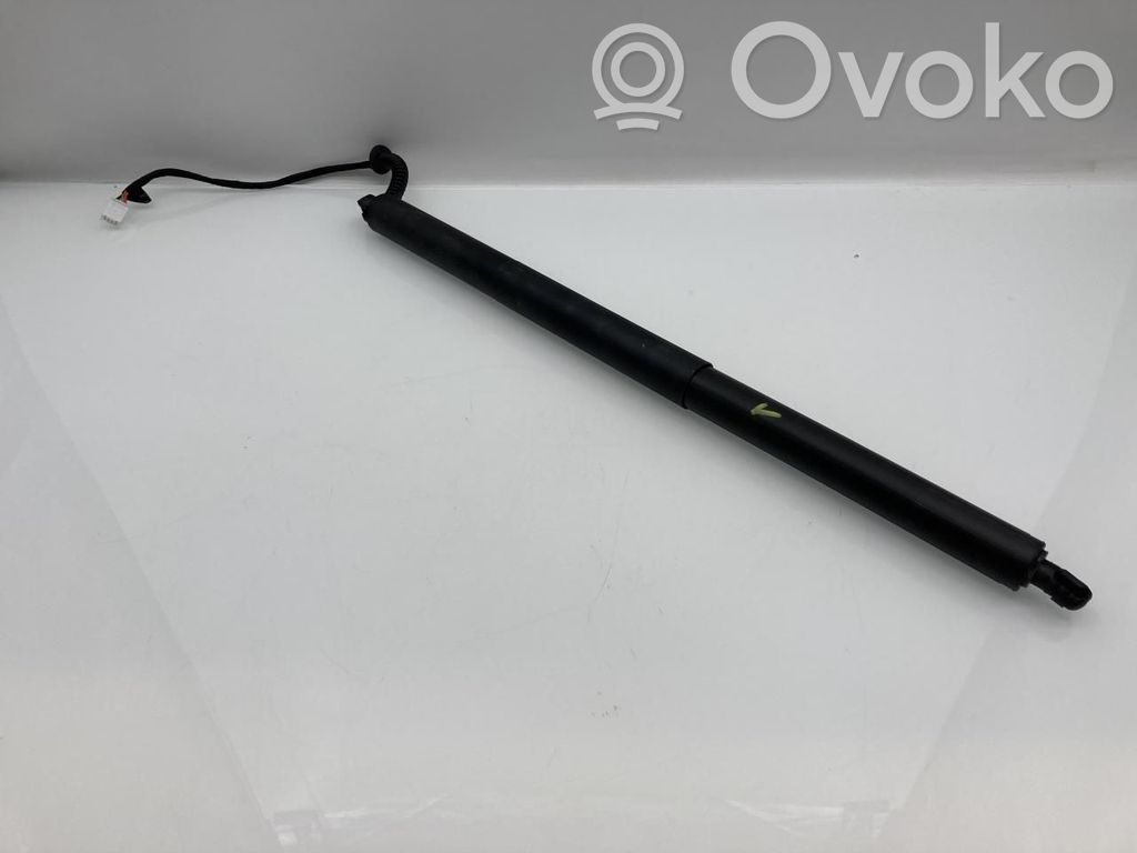 Tesla Model Y Juniper Tailgate/trunk strut/damper 