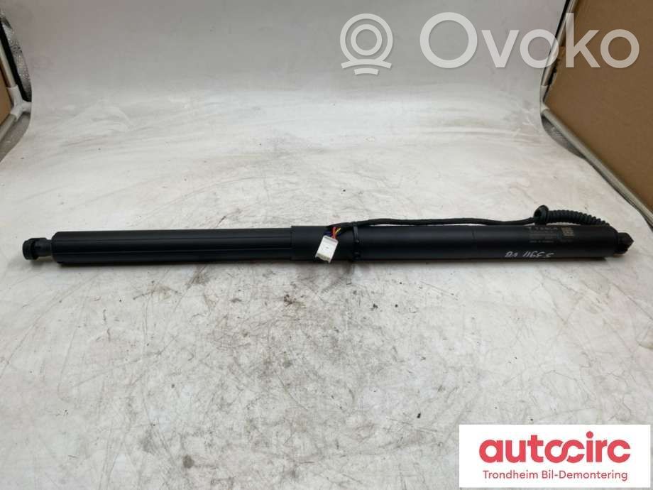 Tesla Model Y Juniper Tailgate/trunk strut/damper 