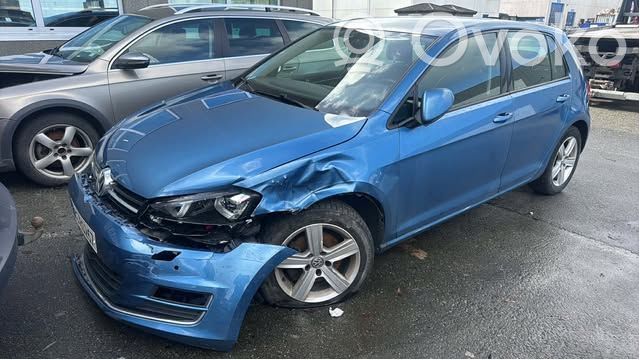 Volkswagen Golf VII Motor 