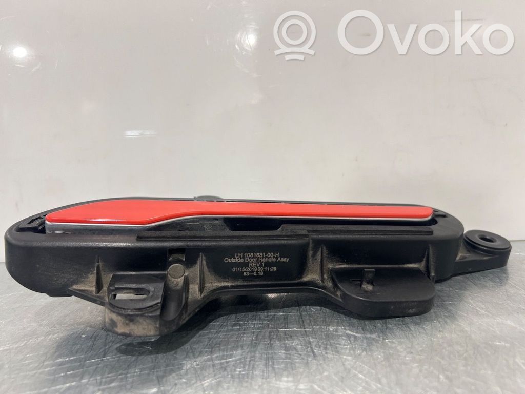 Tesla Model 3 Manecilla externa puerta delantera 