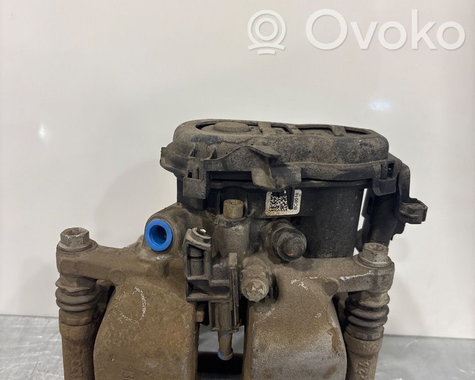 Takajarrusatula   A0004237600,A0004237600