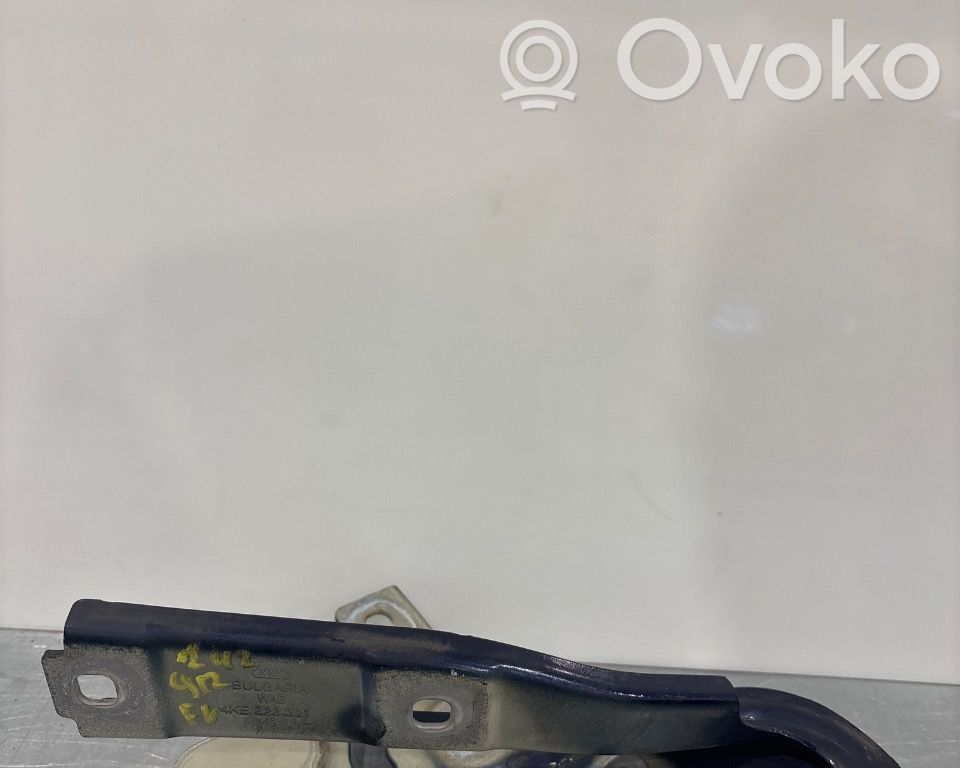 Audi e-tron Dzinēja pārsega eņģe (-es) 