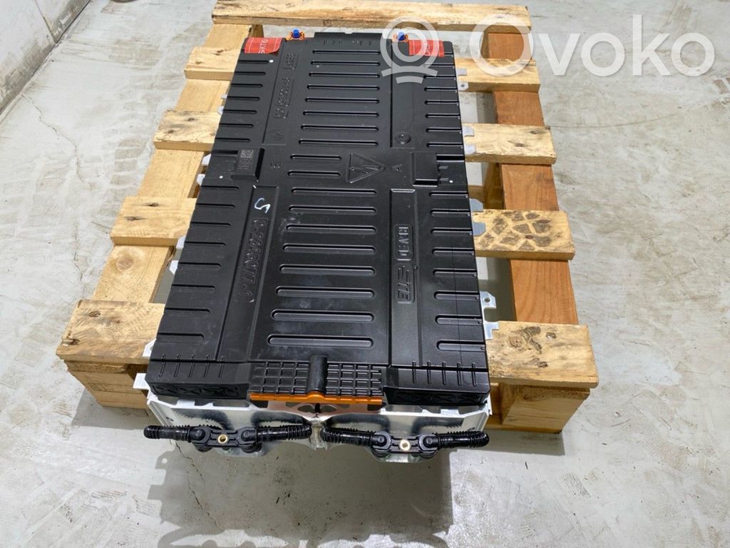 BMW iX Ogniwo akumulatora do samochodów hybrydowych / elektrycznych 