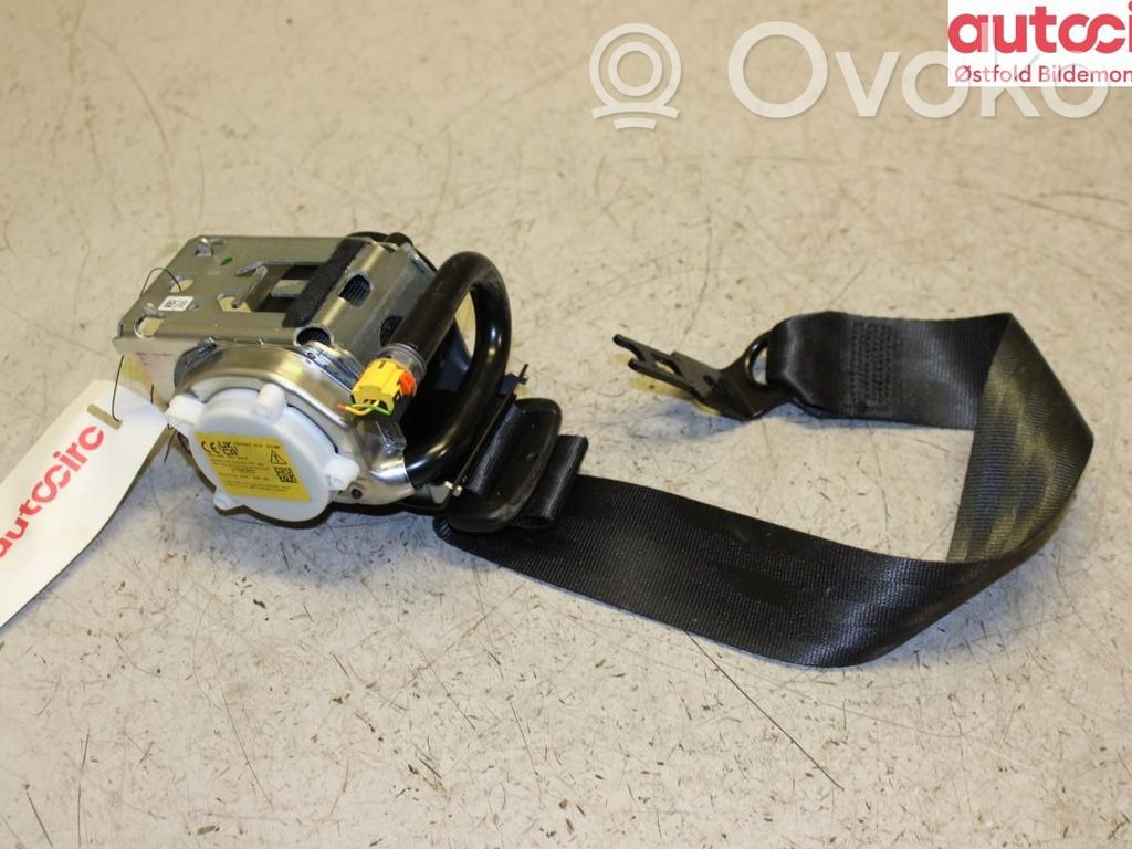 Cinturón trasero