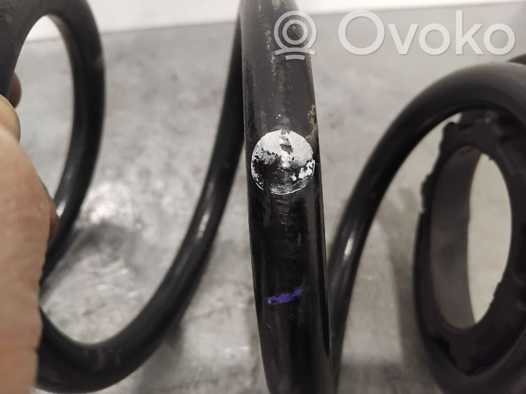 Tesla Model 3 Flanșă cauciuc arc elicoidal spate 