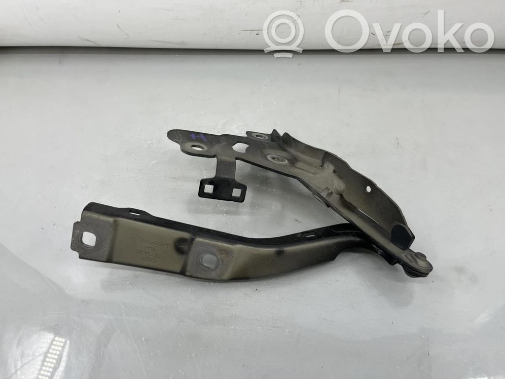 Audi e-tron Engine bonnet/hood hinges 