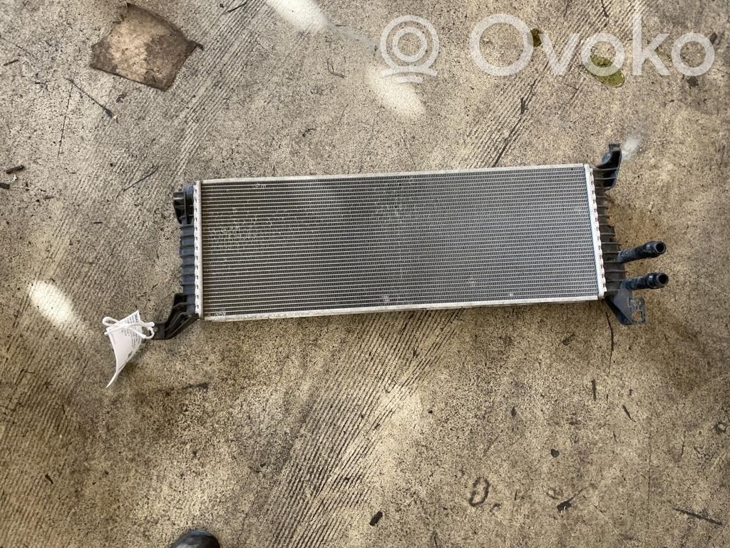 Volkswagen Transporter - Caravelle T6 Radiator lichid răcire