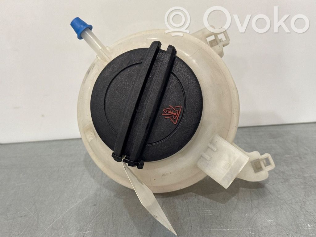 Audi A3 S3 8V Vas expansiune combustibil