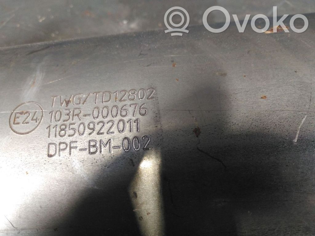 Filtr cząstek stałych Katalizator / FAP / DPF   18307812279,18307812279