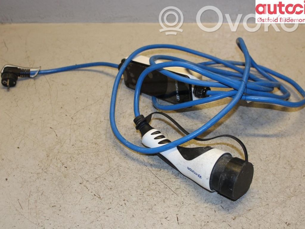 Cable de carga del coche eléctrico