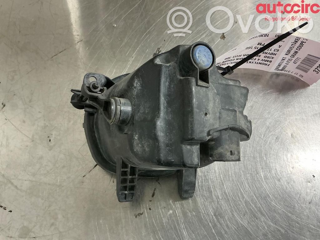 BMW 4 F32 F33 Nebelscheinwerfer vorne
