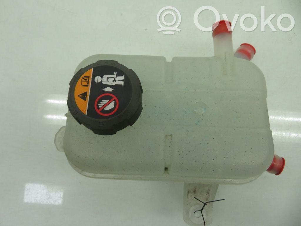 Hyundai Tucson IV NX4 Vas expansiune combustibil 