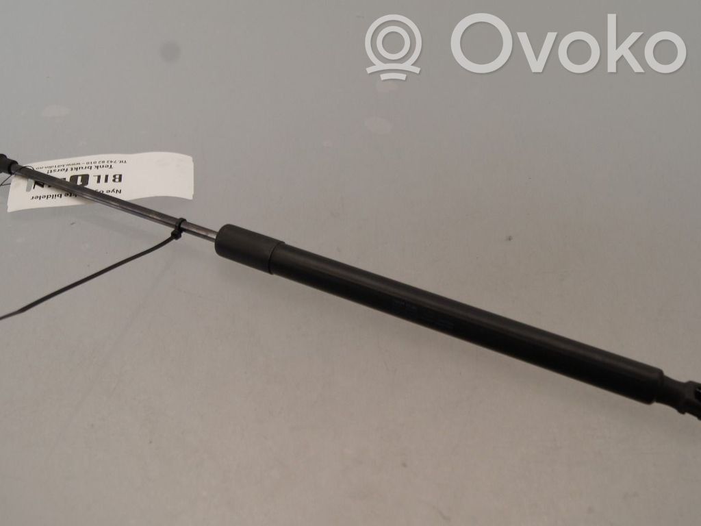 Volkswagen e-Golf Ammortizzatore portellone posteriore/bagagliaio
