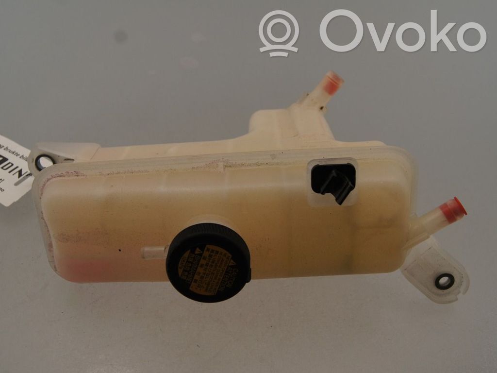 Toyota RAV 4 (XA40) Kraftstoff-Ausgleichsbehälter 