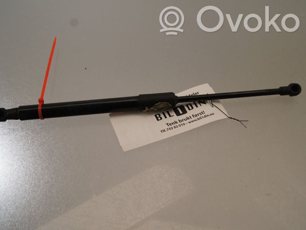 Audi A4 S4 B9 Ammortizzatore portellone anteriore/cofano 