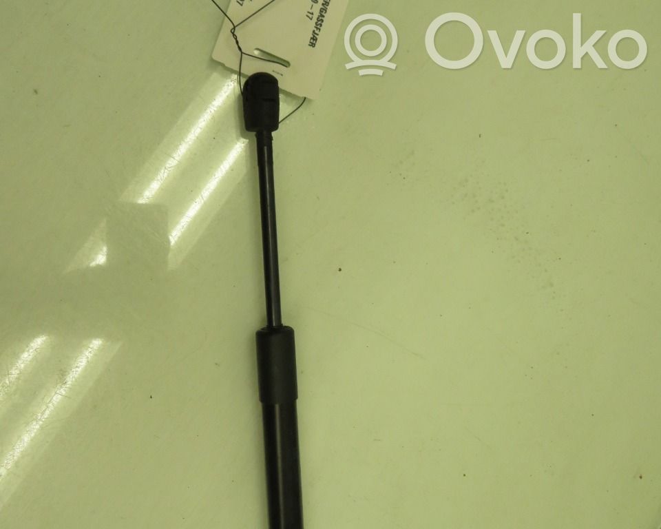BMW X3 F25 Ammortizzatore portellone anteriore/cofano