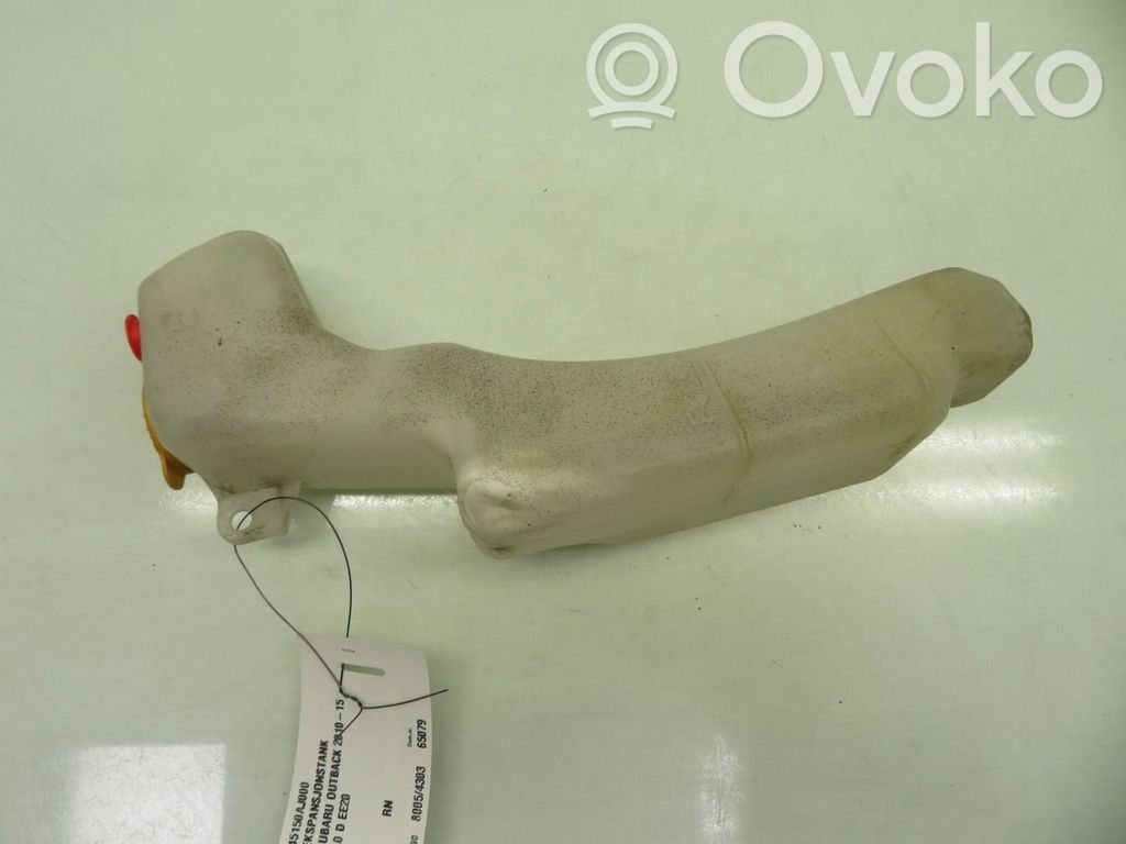 Subaru Outback Vas expansiune combustibil 