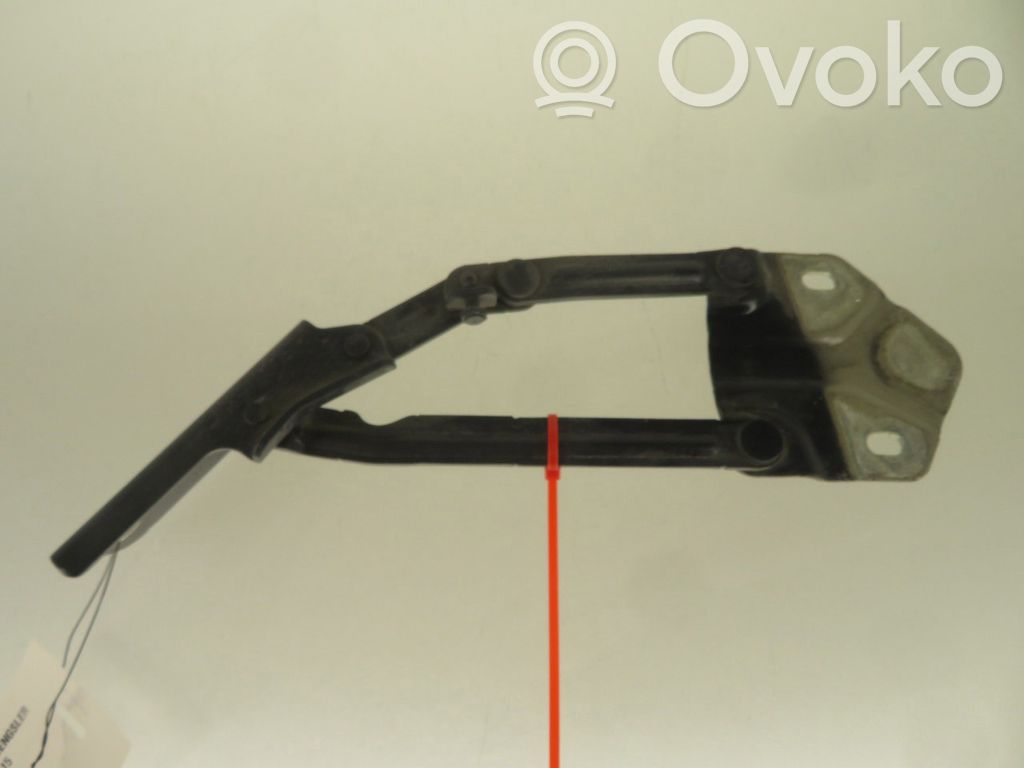 Volkswagen Touran II Balamale capotă 