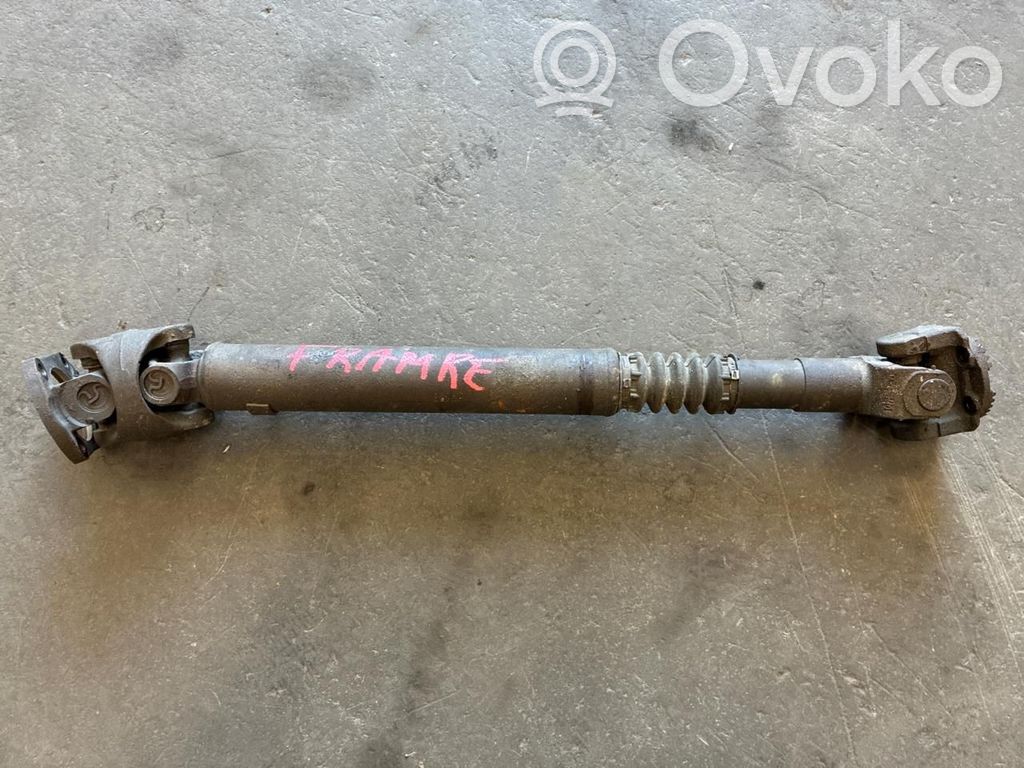 Dodge RAM Arbore planetară față