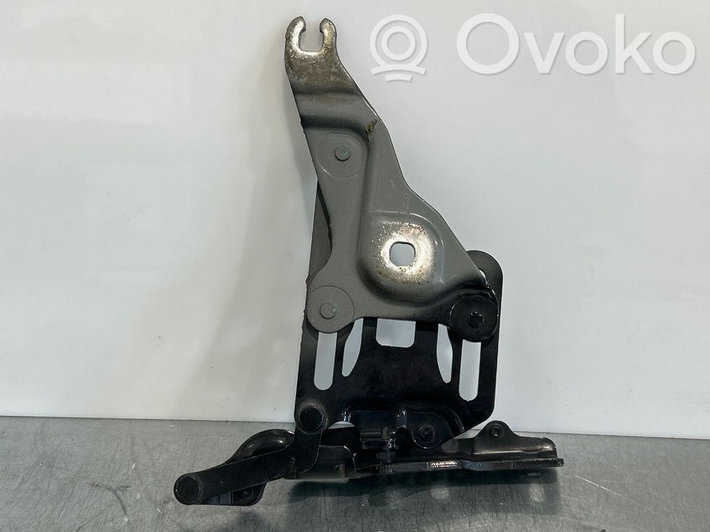 BMW X5 E70 Balamale capotă 
