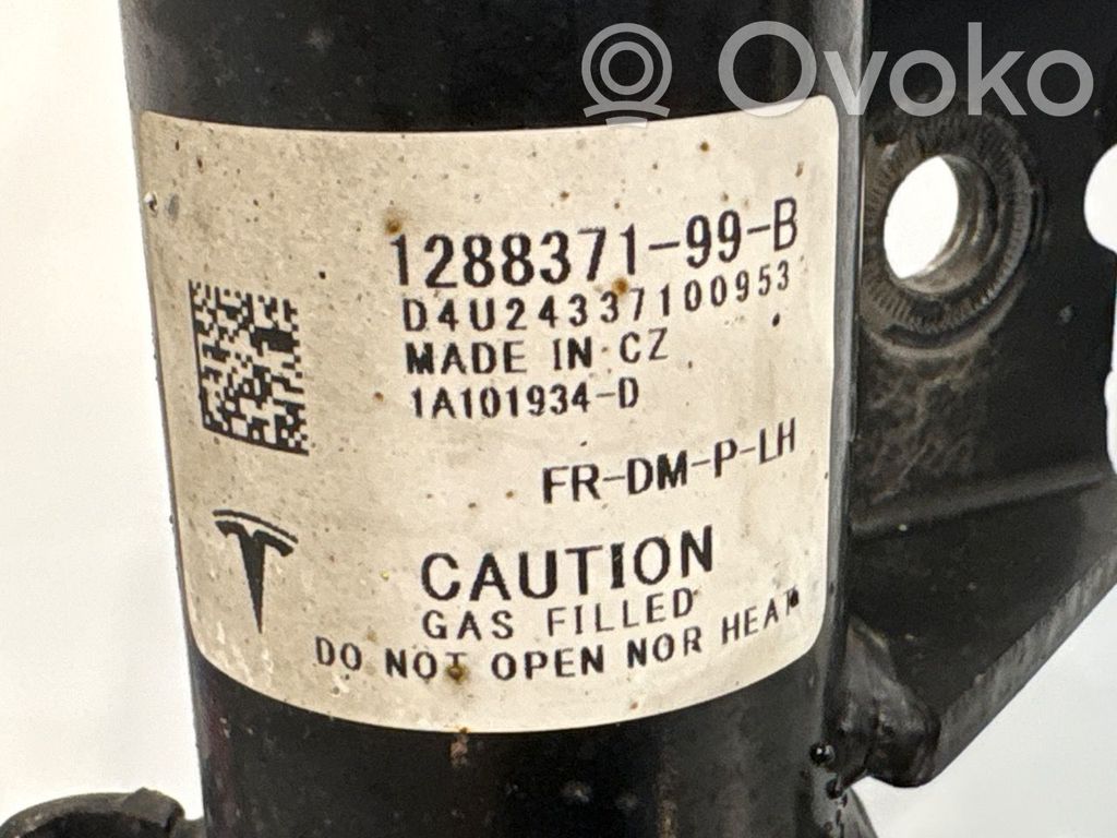 Tesla Model Y Ammortizzatore anteriore con molla elicoidale 