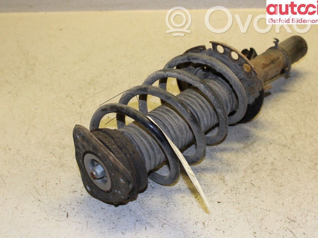 Ford Focus Stoßdämpfer Federbein