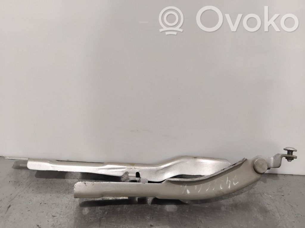 Citroen C4 Cactus Cerniere del vano motore/cofano