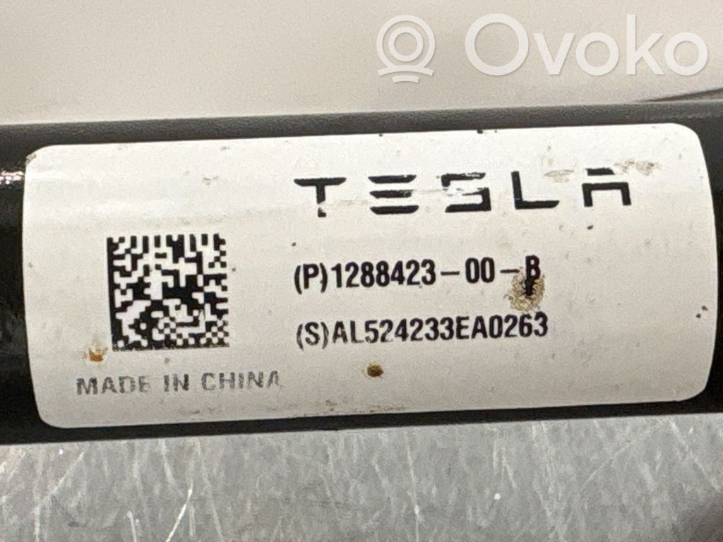 Tesla Model Y Querlenker hinten