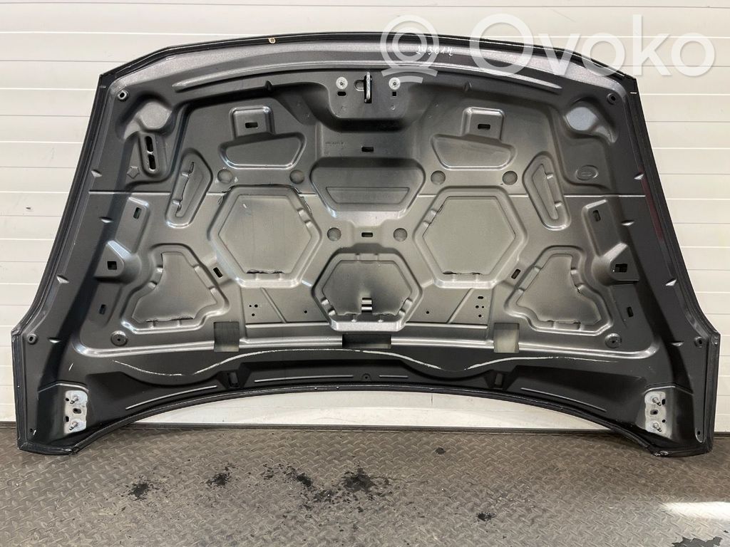 Ford Fiesta Motorhaube