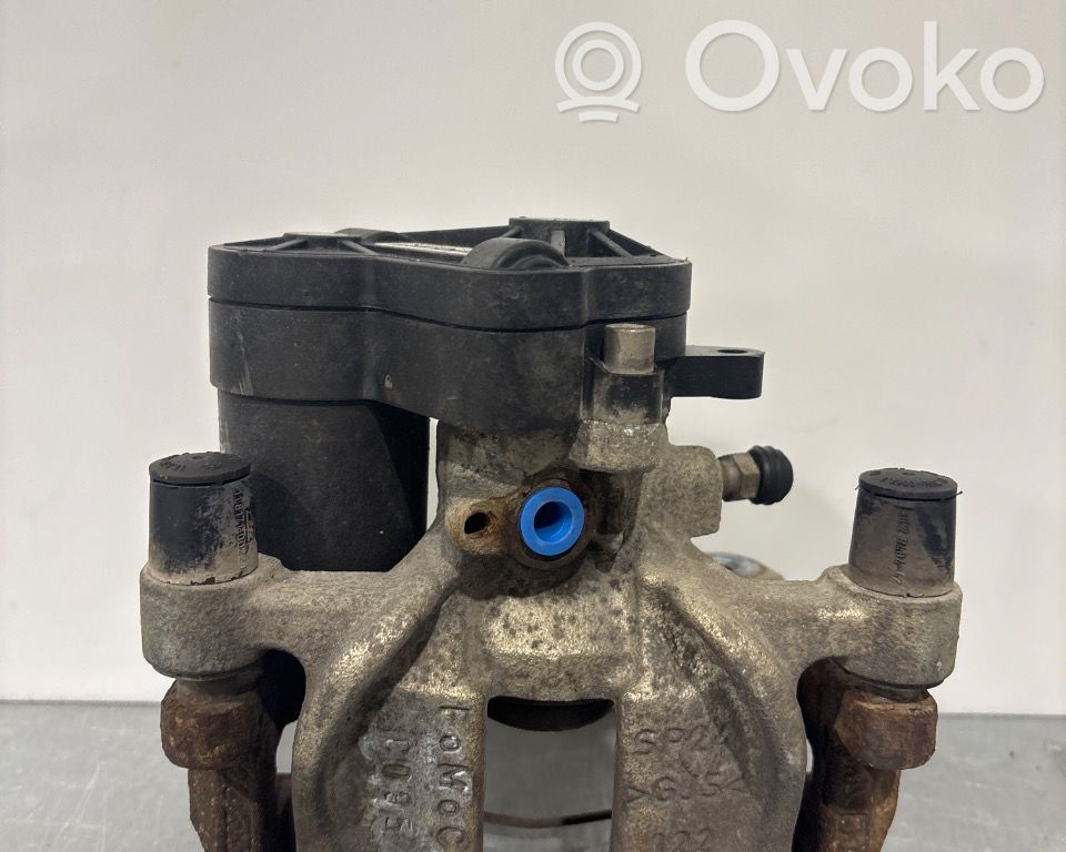 Takajarrusatula   2439127,HG9C2D252AC,HG9C2D252AC,2439127,HG9C2D252AC