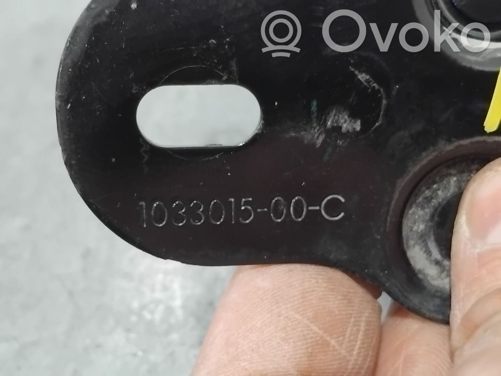 Tesla Model S Chiusura/serratura vano motore/cofano 